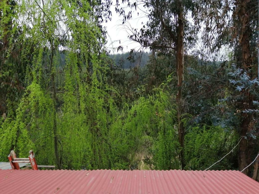 El Fogon De Rio Claro Hotel ภายนอก รูปภาพ